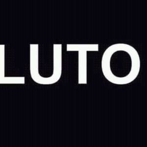 Meet your Posher, Elsa